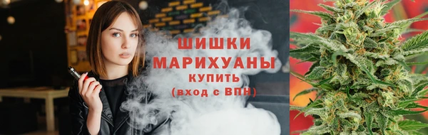 стаф Новодвинск
