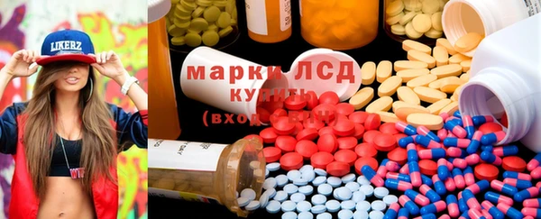 стаф Новодвинск