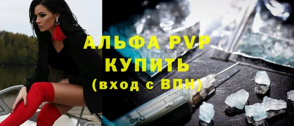 стаф Новодвинск