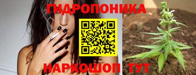 мдпв Абакан
