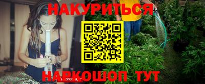 сатива Апшеронск