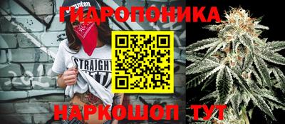 мяу мяу кристалл Волжский