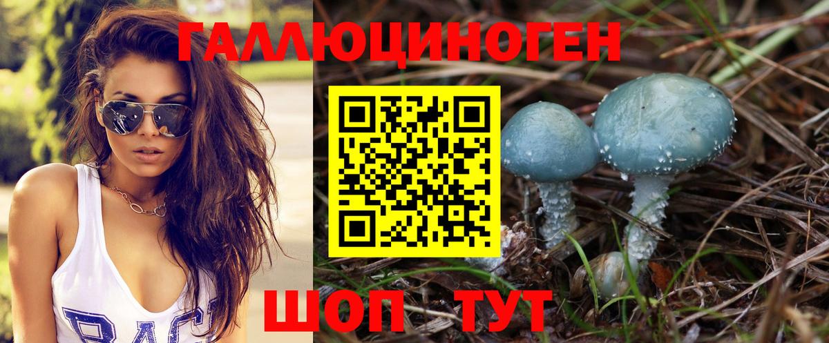 Псилоцибиновые грибы Psilocybine cubensis  Вход с VPN  Семилуки 