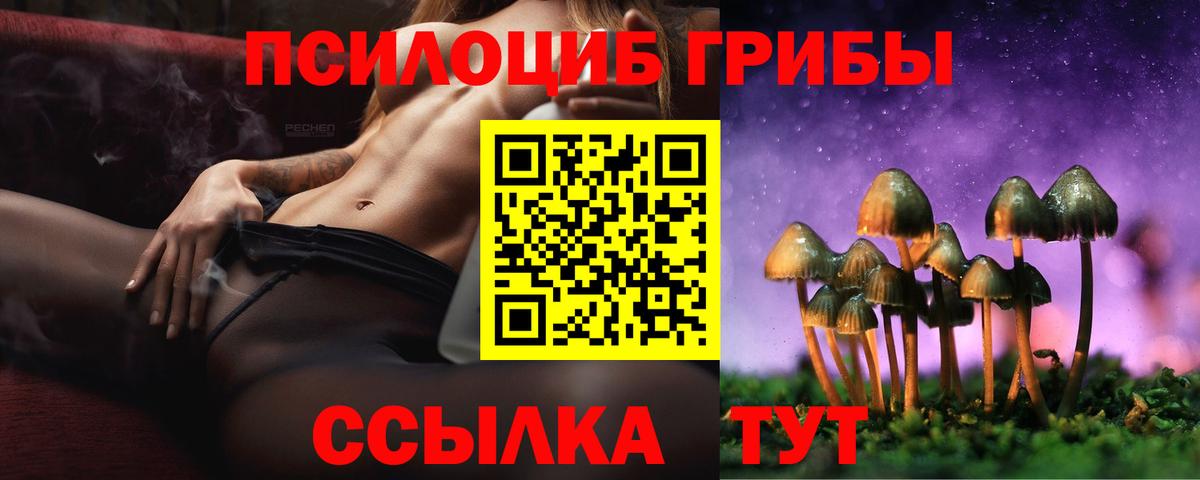 купить наркотики цена  Вход с VPN  Галлюциногенные грибы мухоморы  Семилуки  Галлюциногенные грибы GOLDEN TEACHER 