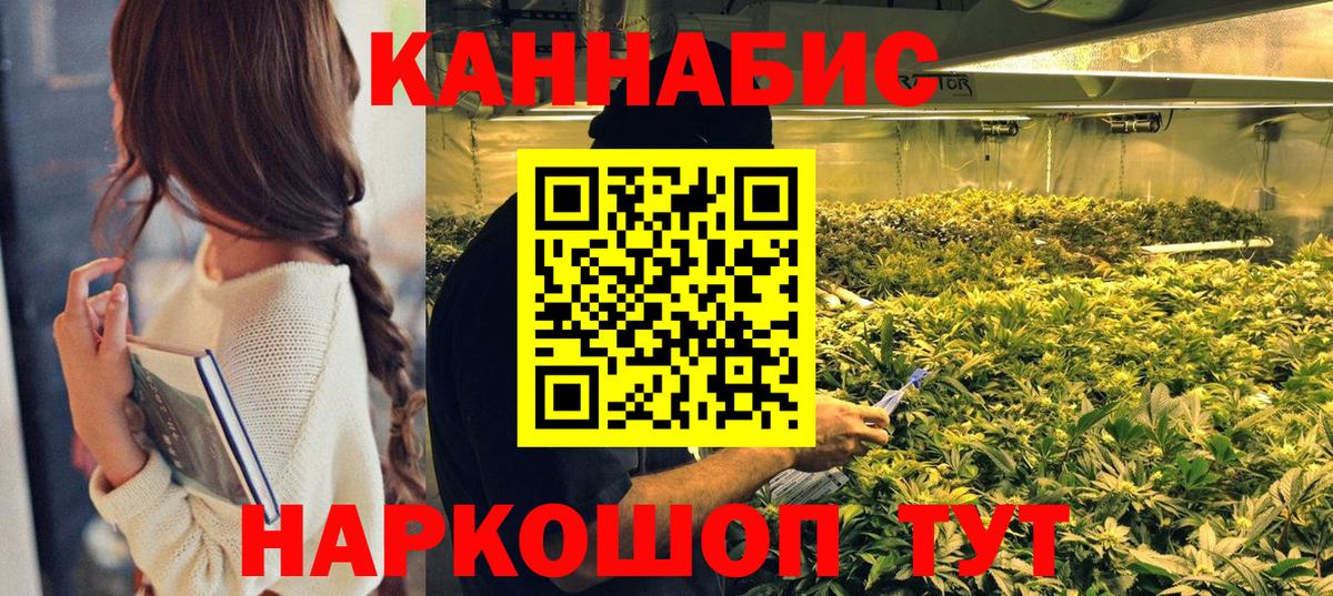 Канабис MAZAR  Марихуана индика  Семилуки  Марихуана Ganja  Бошки марихуана план 